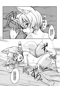 第21頁圖