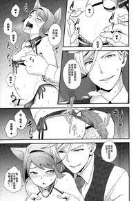 第17页图