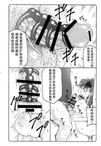 第17页图