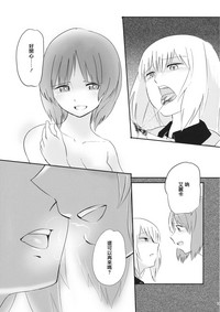 第33頁圖