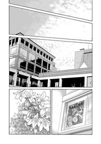 第109頁圖