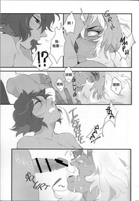 第29頁圖