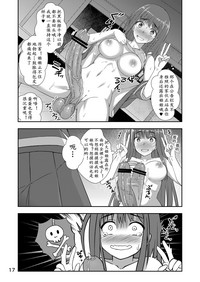 第17页图
