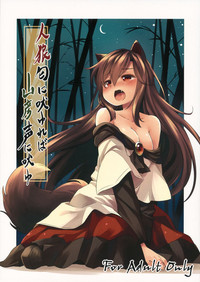 第1页图