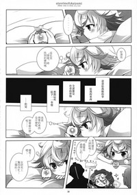 第29页图