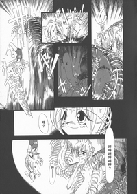 第29頁圖