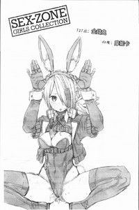 第81頁圖
