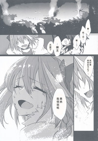 第13页图
