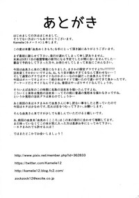 第17页图