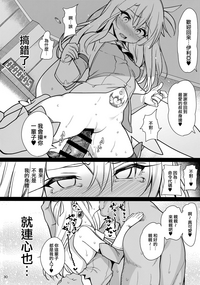 第33页图