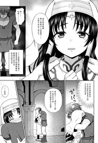 第33页图