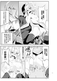 第17页图