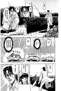 第13頁圖