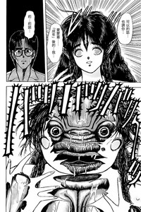 第29頁圖