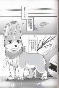 第13页图