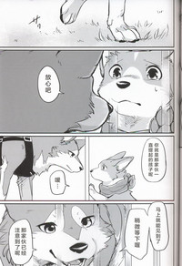 第21页图