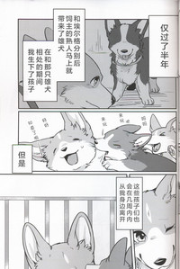 第5页图