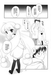 第25页图