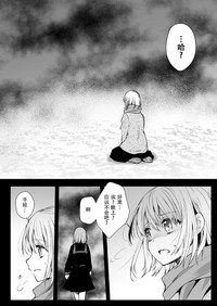 第17页图