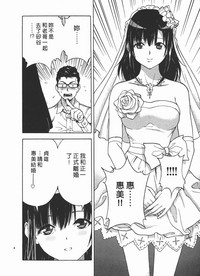 第205頁圖