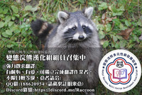 第45頁圖