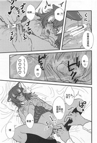 第17页图