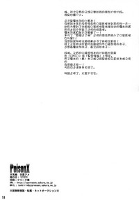第17页图