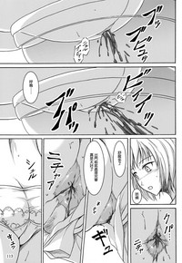 第113頁圖