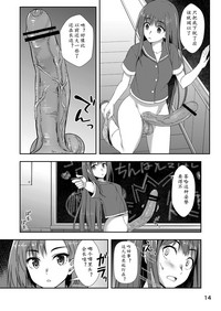 第13页图