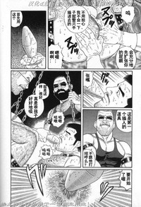 第213頁圖