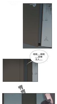第213頁圖