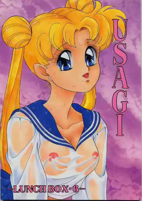 LUNCH BOX 6 - USAGI圖