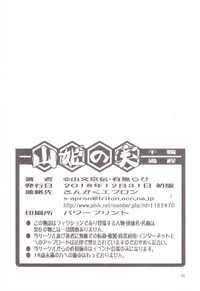第41頁圖