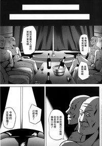 第13页图