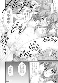 第17页图