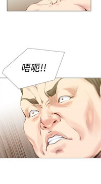 第493頁圖