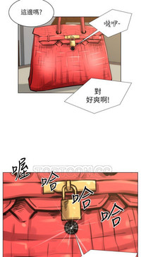 第505頁圖