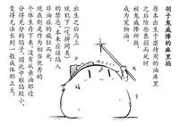 第37頁圖