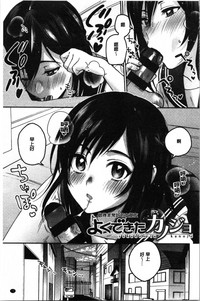 第33頁圖