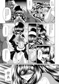 第17页图