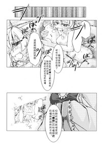 第13页图