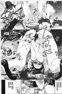 第17页图