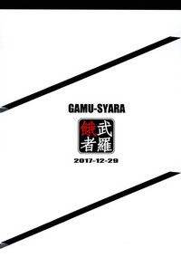 第13页图