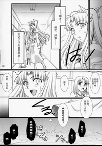 第29頁圖