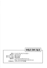 第17页图