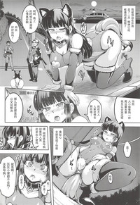 第17页图