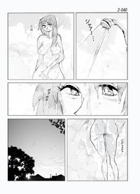 第41頁圖