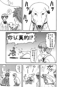 第9页图