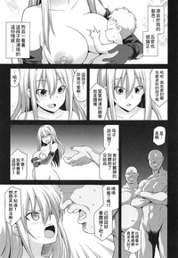 第33页图