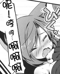 第25页图